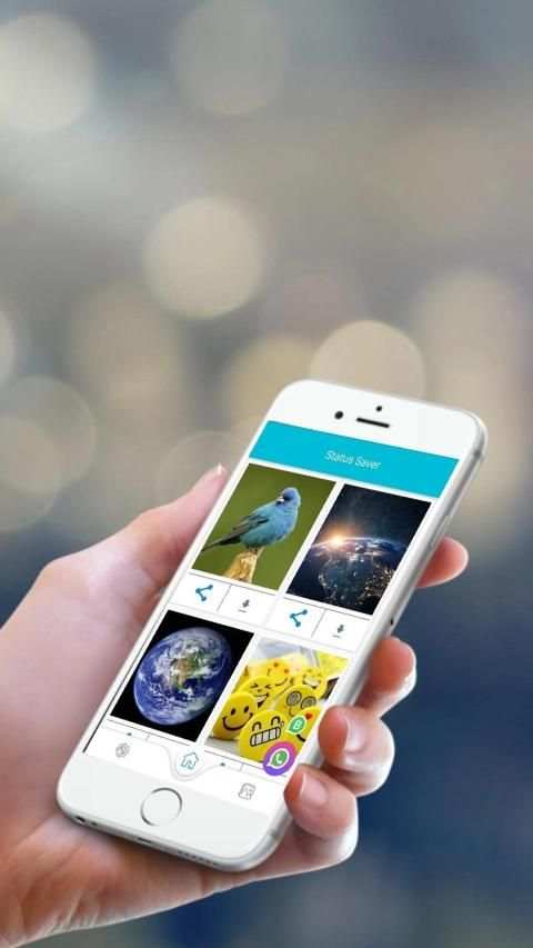 Status Saver For WhatsApp & WhatsApp Business screenshot 4