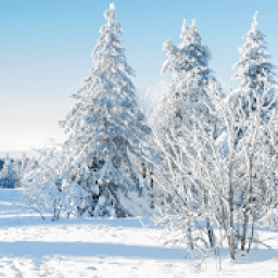 Weihnachtslieder selber singen आइकन