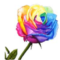 Flower stickers app for whatsapp - Roses