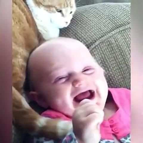مواقف مضحكة بدون نت
‎ screenshot 5