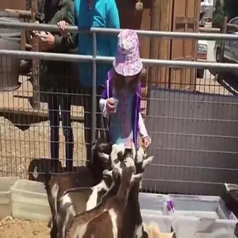 مواقف مضحكة بدون نت
‎ screenshot 1