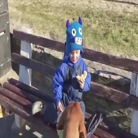 مواقف مضحكة بدون نت
‎ screenshot 4