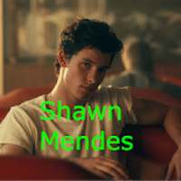 Shawn Mendes Songs Music || Señorita on 9Apps