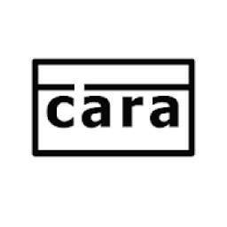 Čára