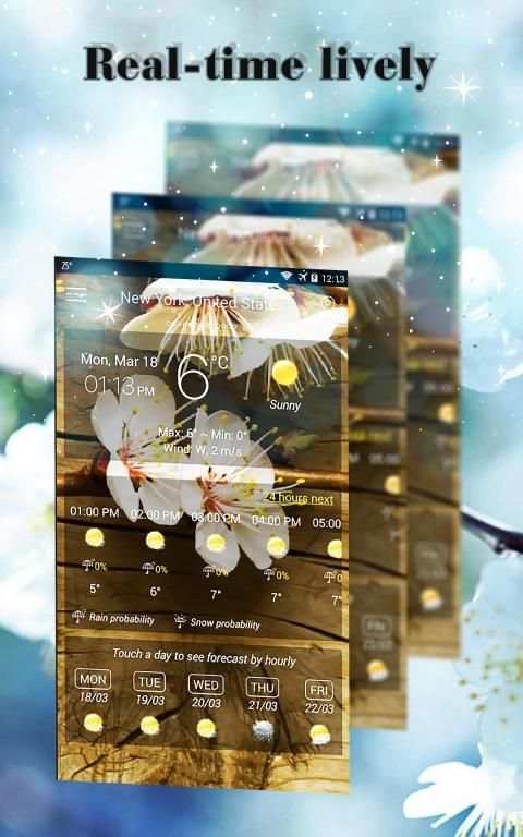 Weather Forecast & Live Wallpaper screenshot 3