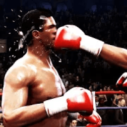 Real Punch Fighting Star Game 3D 2020 आइकन