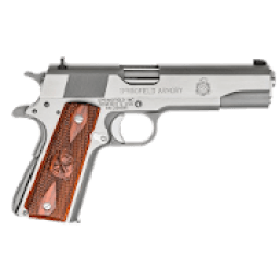 Gun Master आइकन