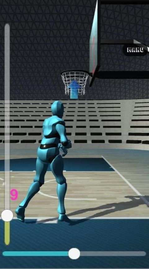 Basketball field goal screenshot 4