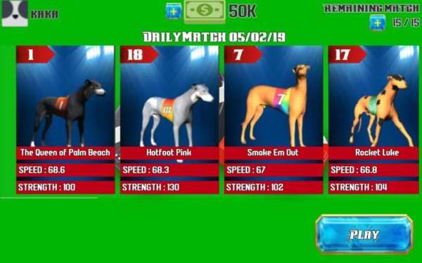 Dog Racing Dudu screenshot 4