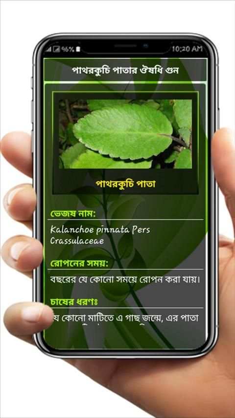হার্বাল চিকিৎসার A to Z. Harbal medicine in bangla screenshot 1