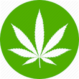 ikon Third Party Inspections