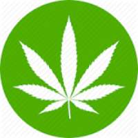 Third Party Inspections