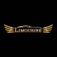 Limousine Driver