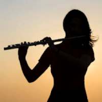 Hit Flute Ringtone 2019 on 9Apps