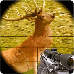 Deer Sniper Hunter 2020