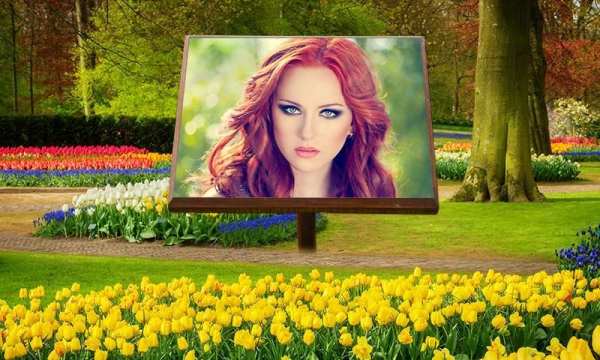 Garden Photo Frames screenshot 1