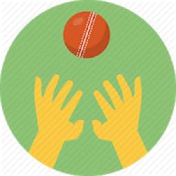 Cricket everyday - tips