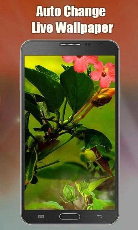 Auto Change Live Wallpaper स्क्रीनशॉट 3
