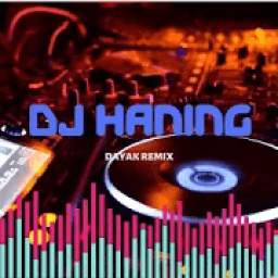 DJ HANING 1.1