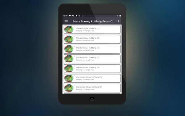 Suara Burung Kutilang Emas Offline screenshot 2
