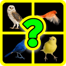 4 фото 1 слово‏
‎ icon