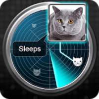 Radar What Makes Cat Joke