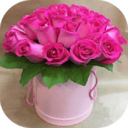 Flowers Roses Images Gif