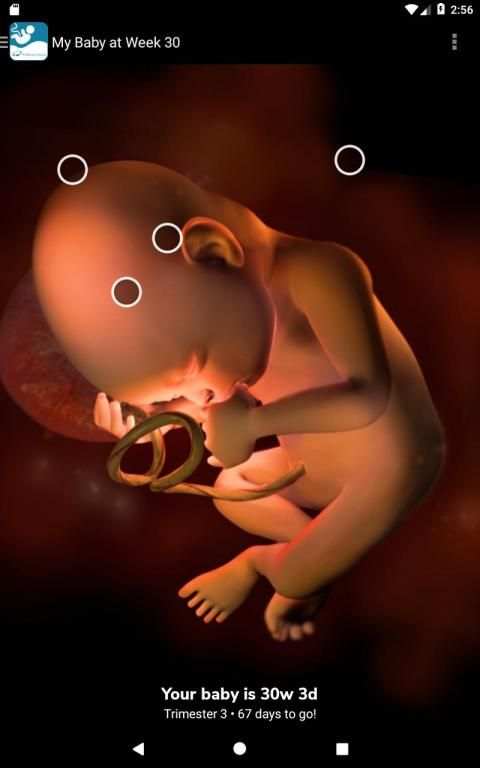 DigiHealth Maternity screenshot 5