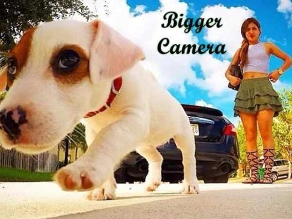Make Me Big-Bigger Camera Photo Editor screenshot 5