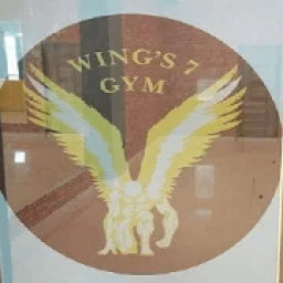Wings 7 Gym आइकन