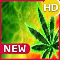 Weed Wallpapers on 9Apps