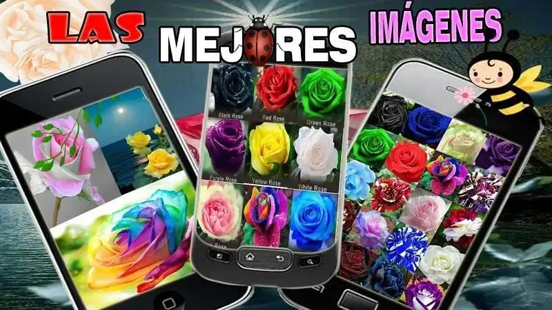 Imagenes de Rosas y Flores Full HD screenshot 2
