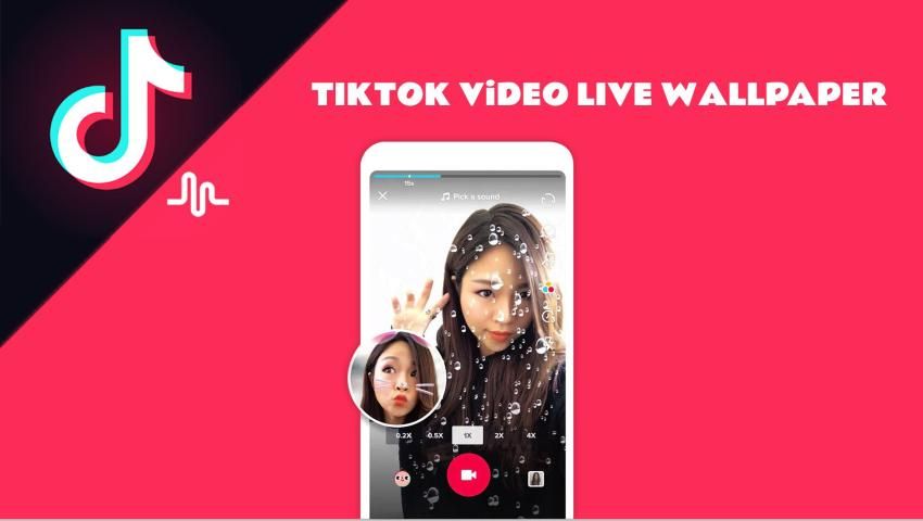 How to Use TikTok Video As Live Wallpaper iPhone  Make A Tiktok Video As Live  Wallpaper on iPad  YouTube