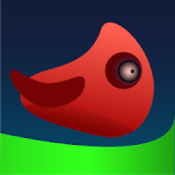 ikon Birds In Action