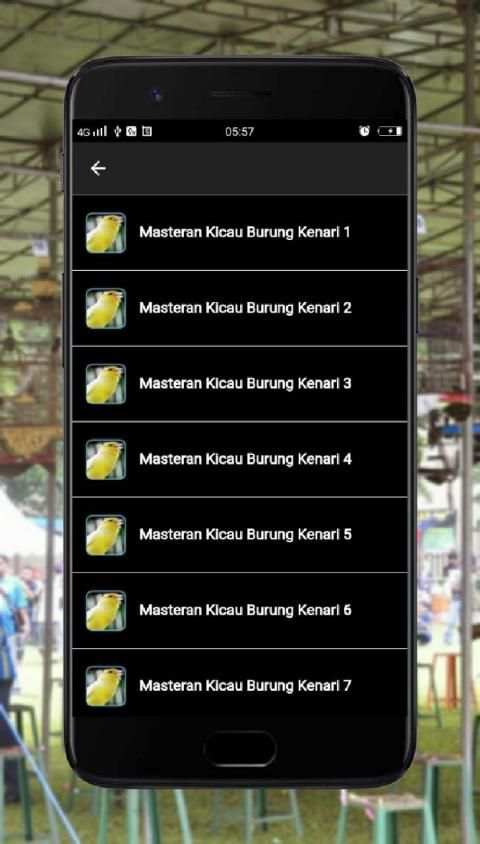 Masteran Kicau Burung Kenari screenshot 2