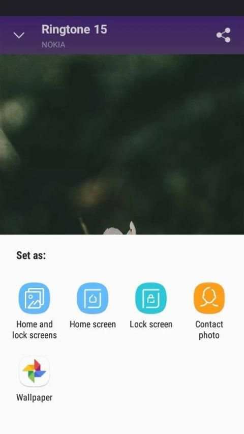 NOKIA Ringtones स्क्रीनशॉट 2