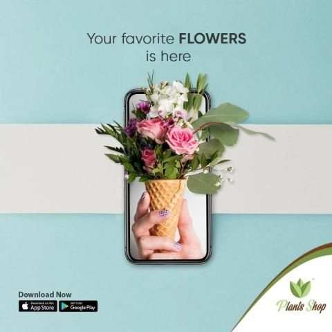 Plants shop screenshot 4