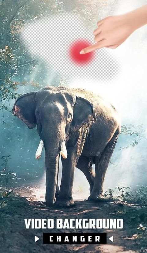 Video Background Changer: Background Changer स्क्रीनशॉट 4