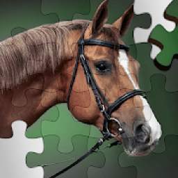 Horse Puzzle Game