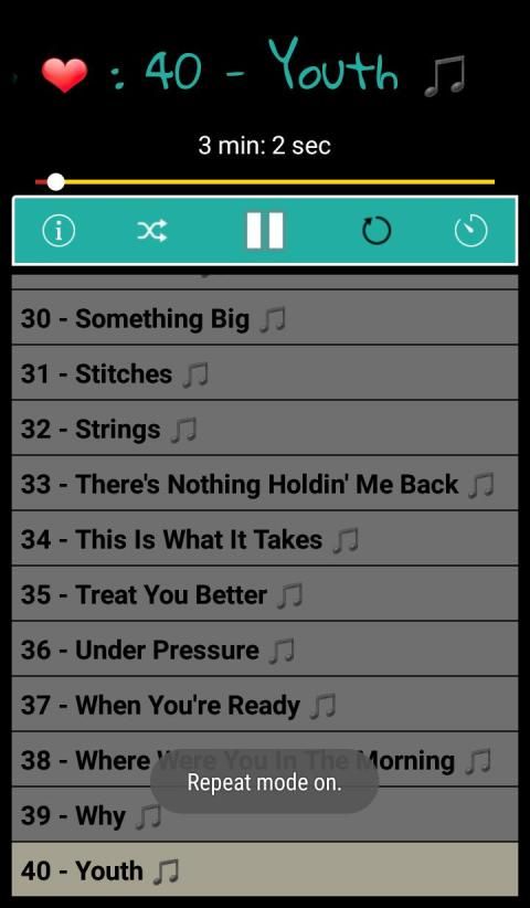 SHAWN MENDES SONGS OFFLINE ( 40 SONGS ) screenshot 2