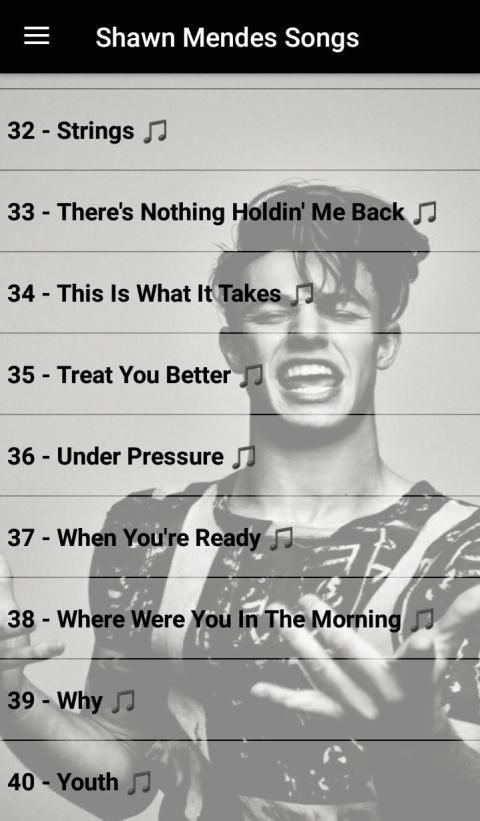 SHAWN MENDES SONGS OFFLINE ( 40 SONGS ) screenshot 3