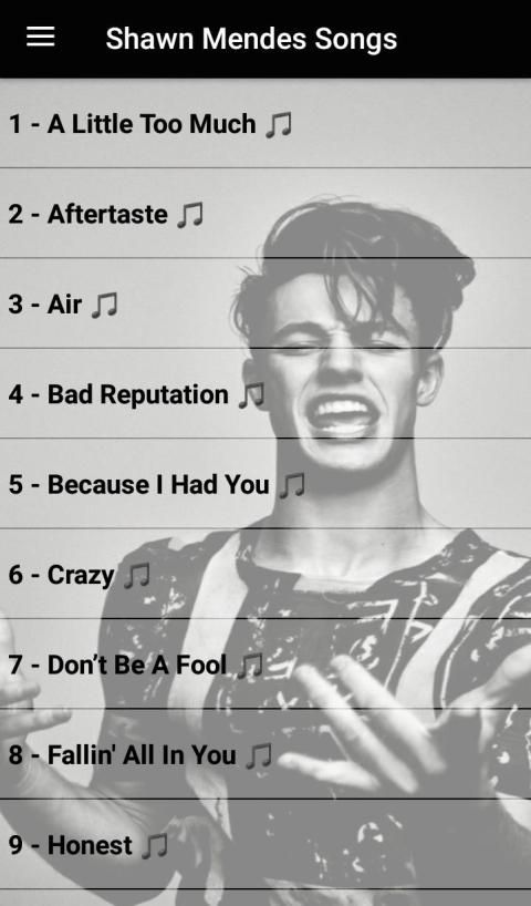 SHAWN MENDES SONGS OFFLINE ( 40 SONGS ) स्क्रीनशॉट 5