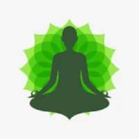 Daily Yoga And Meditation Free Home Fitness