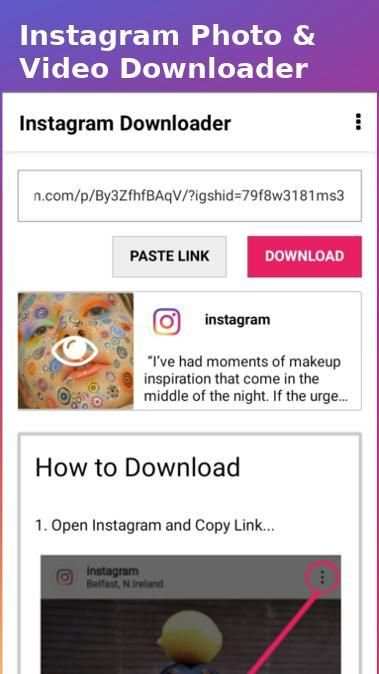 Insta Downloader screenshot 1