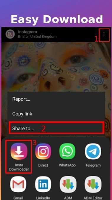 Insta Downloader screenshot 2