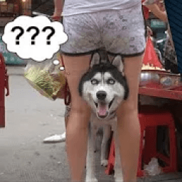 ikon Funny Images - Memes For Whatsapp