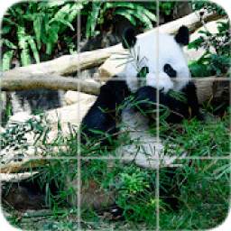 Picture Puzzle: Panda