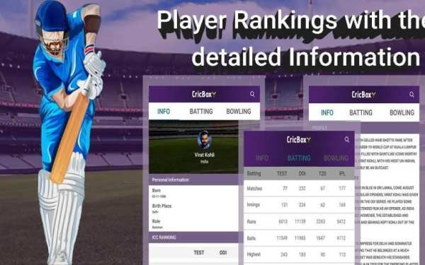 CricBox - Live Cricket Scores, Schedule & News स्क्रीनशॉट 1