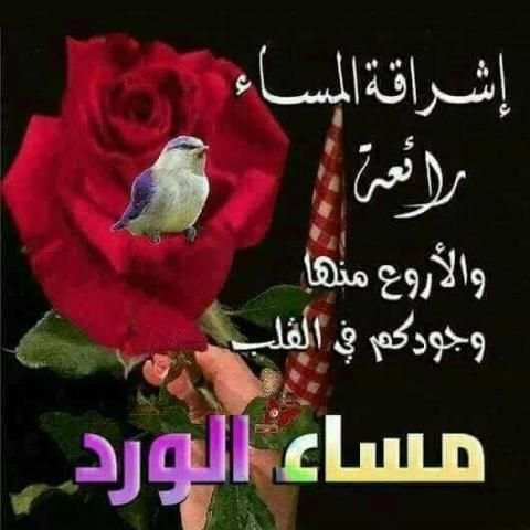 صور و رسائل صباح و مساء الخير
‎ screenshot 1