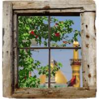 خلفيات حسينية
‎